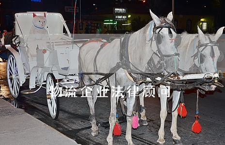 物流企业法律顾问 物流企业法律顾问