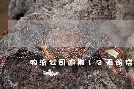 物流公司逾期12天赔偿 物流公司逾期12天赔偿