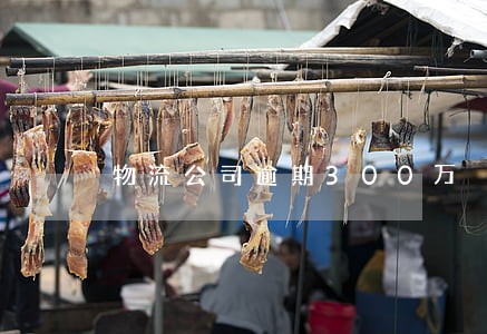 物流公司逾期300万 物流公司逾期300万