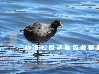 物流公司逾期应收账款管理 物流公司逾期应收账款管理