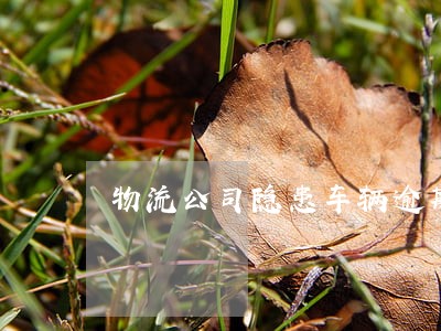 物流公司隐患车辆逾期 物流公司隐患车辆逾期