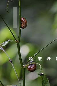 物流开箱验货法律法规的内容