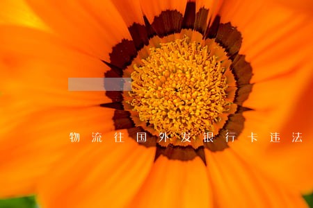 物流往国外发银行卡违法吗 物流往国外发银行卡违法吗