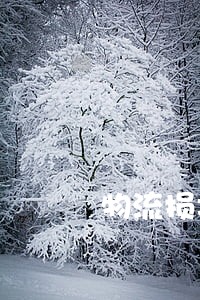 物流损坏货物法院起诉 物流损坏货物法院起诉