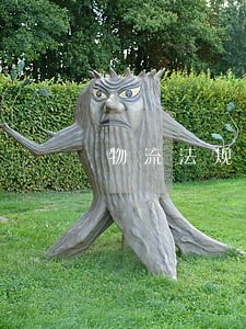 物流法规学后感