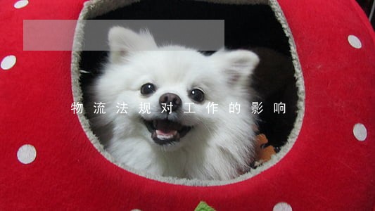 物流法规对工作的影响 物流法规对工作的影响