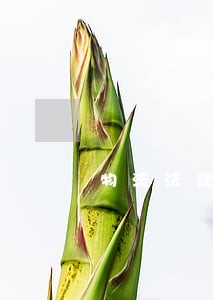物流法规能力测评第四版