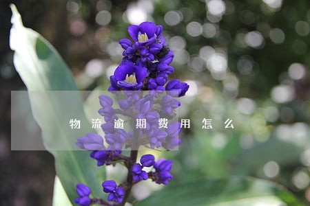 物流逾期费用怎么 物流逾期费用怎么