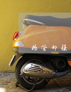 物管部强制动用维修基金是否违法