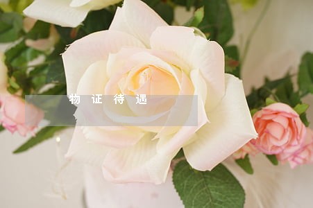 物证待遇 物证待遇