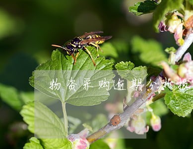 物资采购逾期分析报告模板 物资采购逾期分析报告模板