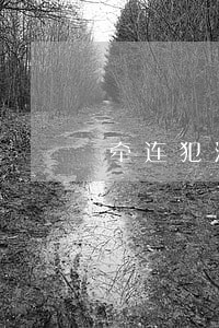 牵连犯法律条文