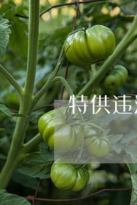 特供违法广告法律依据