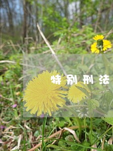 特别刑法及其存在之合理性 特别刑法及其存在之合理性