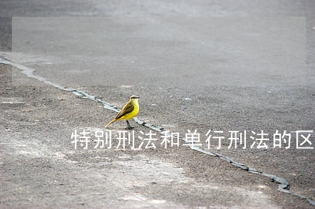 特别刑法和单行刑法的区别