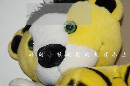 特别小额逾期的处理办法 特别小额逾期的处理办法
