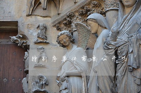 特别序案件需要公开吗