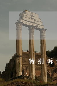 特别诉讼简易普通 特别诉讼简易普通