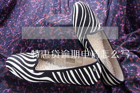 特惠贷逾期申请怎么写