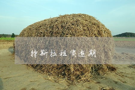 特斯拉租赁逾期 特斯拉租赁逾期
