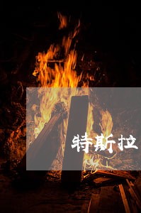 特斯拉车贷逾期案例 特斯拉车贷逾期案例
