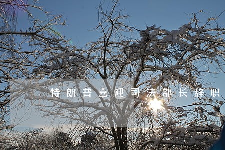 特朗普喜迎司法部长辞职 特朗普喜迎司法部长辞职