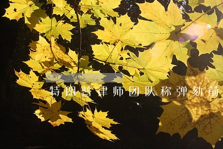 特朗普律师团队称弹劾前总统违宪 特朗普律师团队称弹劾前总统违宪