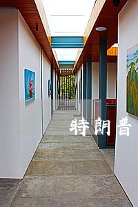 特朗普要在数个摇摆州提起诉讼 特朗普要在数个摇摆州提起诉讼