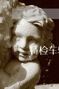 特检车辆逾期了半年还能过吗 特检车辆逾期了半年还能过吗
