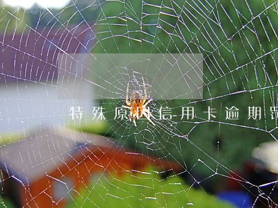 特殊原因信用卡逾期罚金可以退吗 特殊原因信用卡逾期罚金可以退吗