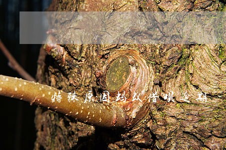 特殊原因蚂蚁借呗逾期 特殊原因蚂蚁借呗逾期