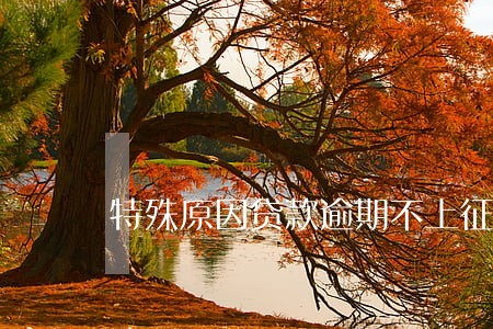特殊原因贷款逾期不上征信 特殊原因贷款逾期不上征信