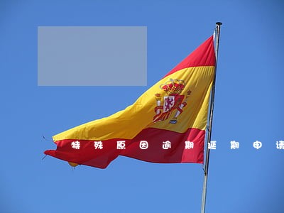 特殊原因逾期延期申请表 特殊原因逾期延期申请表