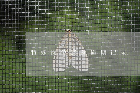 特殊岗位消除逾期记录 特殊岗位消除逾期记录