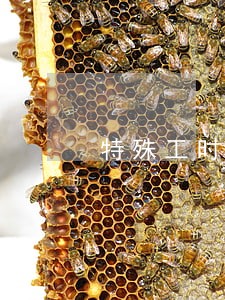 特殊工时制的劳动法分析 特殊工时制的劳动法分析