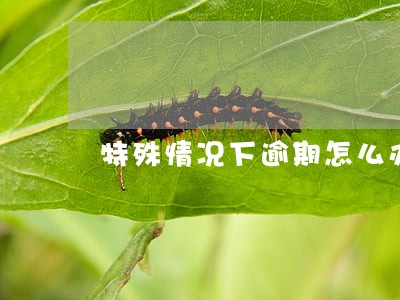 特殊情况下逾期怎么办 特殊情况下逾期怎么办