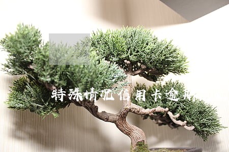 特殊情况信用卡逾期怎么办 特殊情况信用卡逾期怎么办