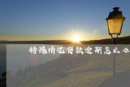 特殊情况贷款逾期怎么办