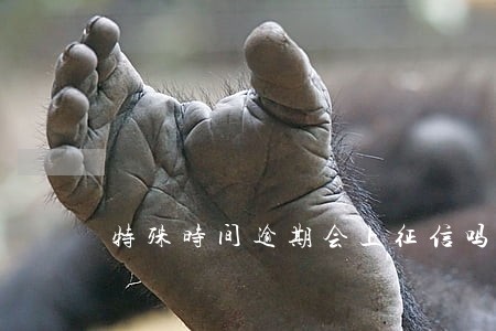 特殊时间逾期会上征信吗 特殊时间逾期会上征信吗