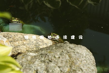 特殊用地违法建设 特殊用地违法建设