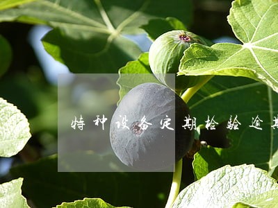特种设备定期检验逾期半年 特种设备定期检验逾期半年