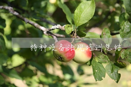特种设备法规培训总结 特种设备法规培训总结