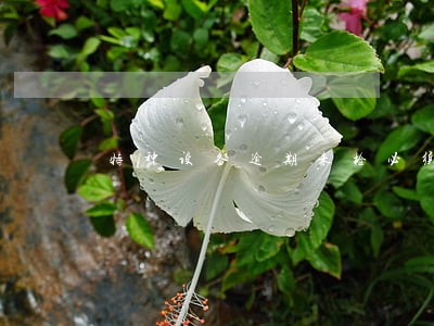 特种设备逾期未检必须罚款吗 特种设备逾期未检必须罚款吗