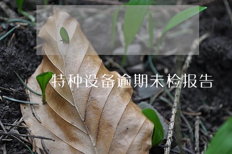 特种设备逾期未检报告 特种设备逾期未检报告