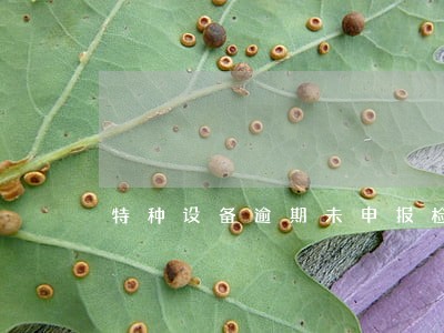 特种设备逾期未申报检验 特种设备逾期未申报检验