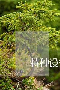 特种设备逾期申报检测需要什么表 特种设备逾期申报检测需要什么表