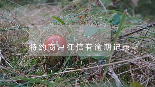 特约商户征信有逾期记录 特约商户征信有逾期记录