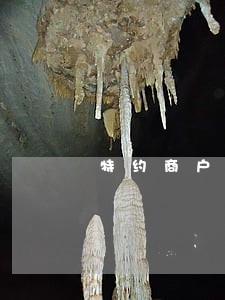 特约商户扣款跟逾期有关系吗 特约商户扣款跟逾期有关系吗