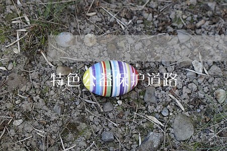 特色公益保护道路 特色公益保护道路