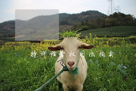 特许经营权司法拍卖 特许经营权司法拍卖